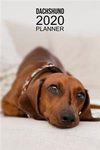 Dachshund Planner
