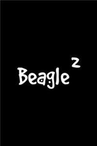 2 Beagle