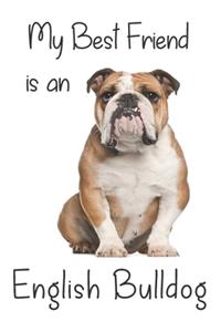 My best Friend is an English Bulldog