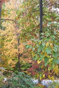 2019 Weekly Planner Autumn Colors Fall Foliage 134 Pages
