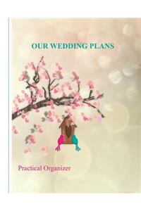 Our Wedding Plans