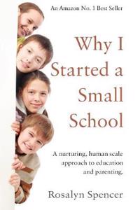 Why I Started a Small School