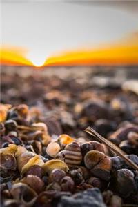 Beach Notebook