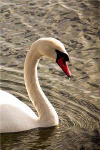 Swan Notebook: 150 lined pages, softcover, 6 x 9