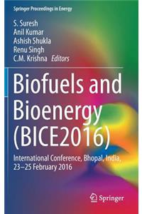 Biofuels and Bioenergy (Bice2016)