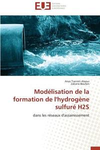 Modélisation de la Formation de l'Hydrogène Sulfuré H2s