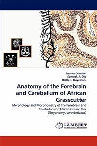 Anatomy of the Forebrain and Cerebellum of African Grasscutter