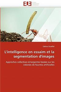 L''intelligence En Essaim Et La Segmentation d''images