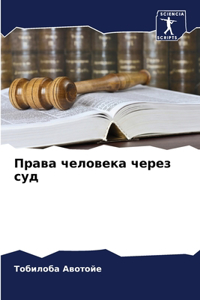 Права человека через суд