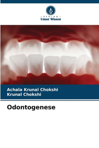 Odontogenese