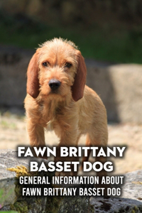Fawn Brittany Basset Dog