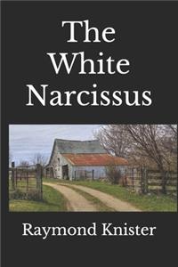 The White Narcissus