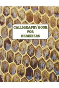 Calligraphy Book for Beginners