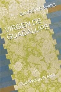 Virgen de Guadalupe