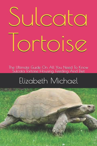 Sulcata Tortoise
