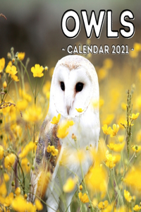 Owls Calendar 2021