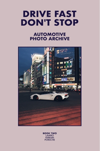 Drive Fast Don't Stop - Book 2