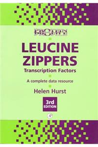 Leucine Zippers