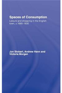 Spaces of Consumption