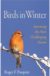 Birds in Winter