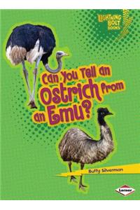 Can You Tell an Ostrich from an Emu?