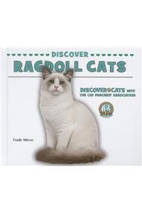 Discover Ragdoll Cats