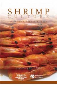 Shrimp Culture