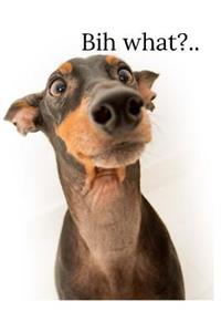 Bih What?..