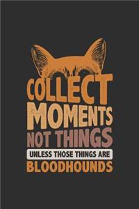 Collect Moments Not Things Unless Those Things Are Bloodhounds