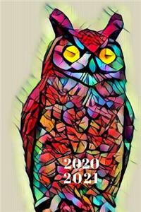 Colorful Rainbow Prism Blue Teal Pink Owl Bird Lovers Cute 25 Month Weekly Planer Dated Calendar for Ladies