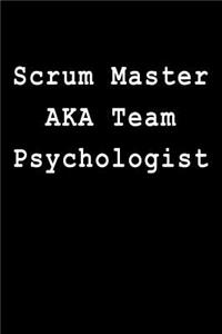 Scrum Master Aka Team Psychologist