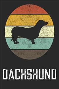 Dachshund