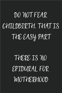Do Not Fear Childbirth That Is the Easy Part There Is No Epidural for Motherhood