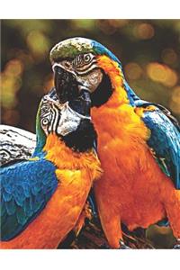 Parrot Couple: Personalized Name Journal with Blank Lined Paper