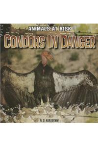 Condors in Danger
