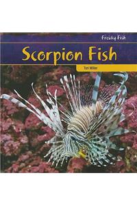 Scorpion Fish