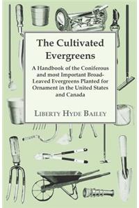 The Cultivated Evergreens - A Handbook of the Coniferous and most Important Broad-Leaved Evergreens Planted for Ornament in the United States and Canada