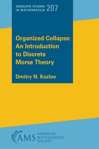 Organized Collapse: An Introduction to Discrete Morse Theory