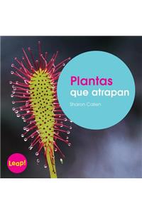 Plantas Que Atrapan