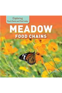 Meadow Food Chains