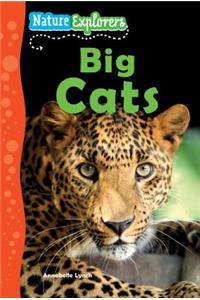 Big Cats