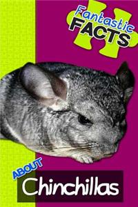 Fantastic Facts about Chinchillas: Illustrated Fun Learning for Kids