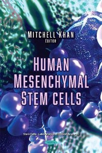 Human Mesenchymal Stem Cells