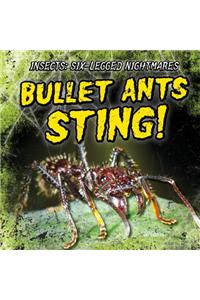 Bullet Ants Sting!