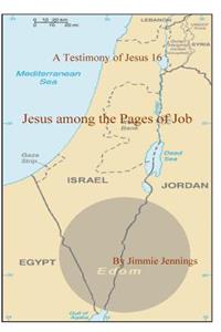 Testimony of Jesus 16
