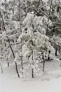 Winter Day Photography Journal