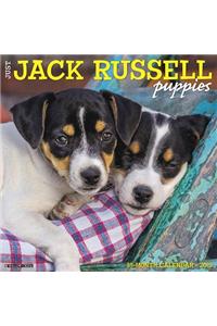 Just Jack Russell Puppies 2019 Wall Calendar (Dog Breed Calendar)