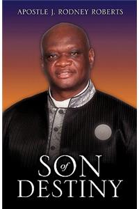 Son of Destiny