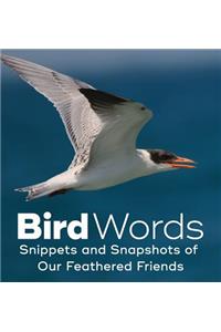 Bird Words