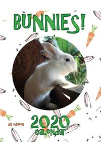 Bunnies! 2020 Calendar (UK Edition)